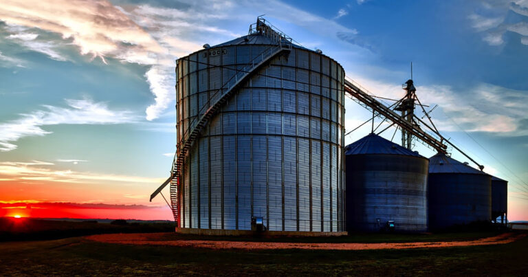 v-simposio-de-pos-colheita-traz-novas-perspectivas-para-expansao-da-cadeia-produtiva-de-graos