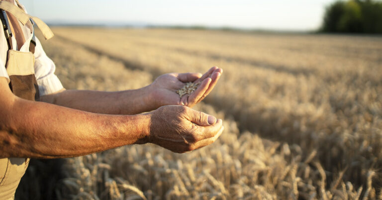 parceria-entre-agrotoken-e-slc-maquinas-impulsiona-o-agronegocio-no-rio-grande-do-sul