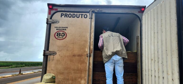 defesa-agropecuaria-intensifica-fiscalizacao-do-transporte-de-pescado-em-rodovias