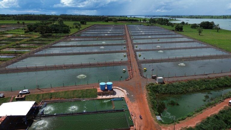 atencao-aquicultor!-ministerio-publica-instrucoes-para-atualizacao-cadastral