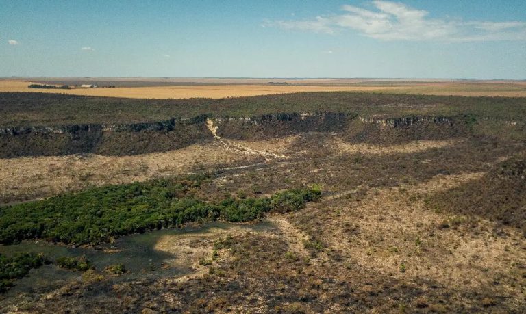 forca-tarefa-e-montada-para-conter-desmatamento-no-cerrado