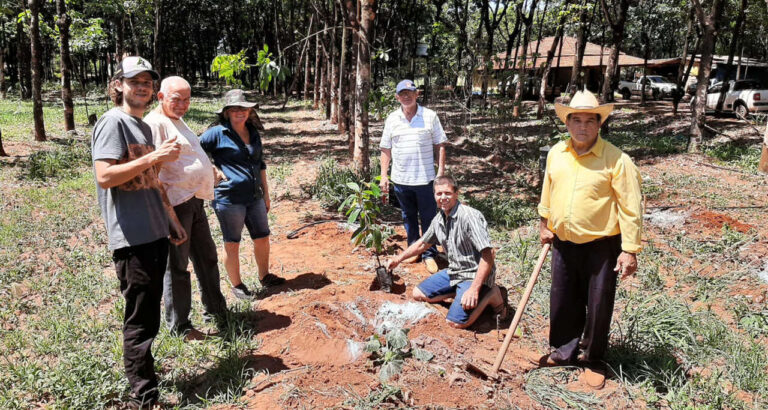 cultivo-de-cacau-avanca-e-vira-oportunidade-para-o-produtor