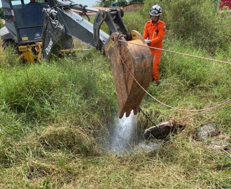 bombeiros-resgatam-cavalo-que-caiu-em-fossa-em-cidade-do-oeste-baiano