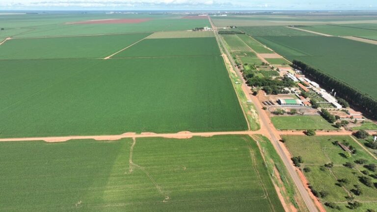 empresa-de-sementes-vai-construir-um-novo-de-centro-de-distribuicao-em-mt