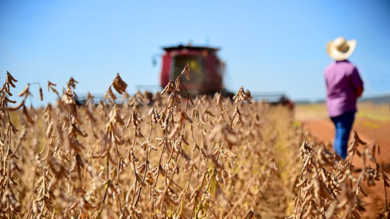 usda-aponta-aumento-da-area-de-soja-nos-eua-e-pressiona-precos