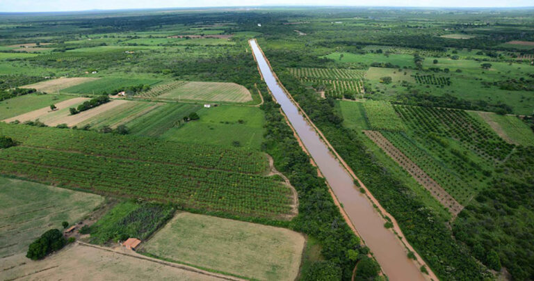 tmg-dobra-capacidade-de-producao-de-cultivares-com-o-uso-de-tecnologia