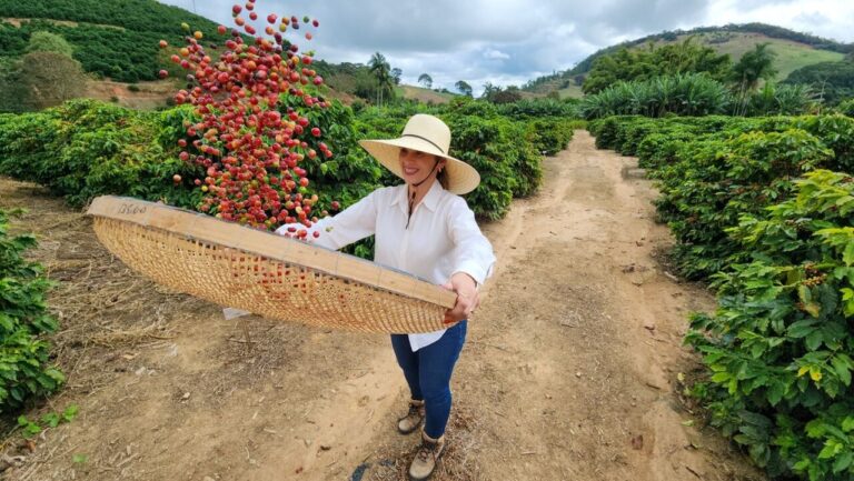 dia-mundial-do-cafe:-cafeicultura-transforma-vidas