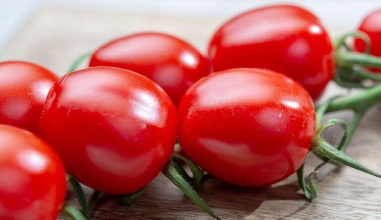 como-plantar-tomate-cereja