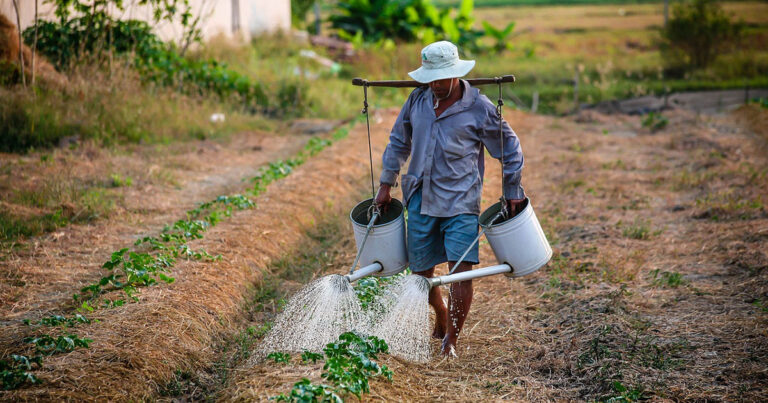 agronegocio-aposta-em-solucoes-waterless-para-plantacoes