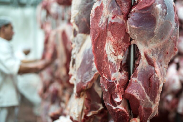 abpa-diz-que-industria-exportadora-de-carne-bovina-participara-do-siavs-2024