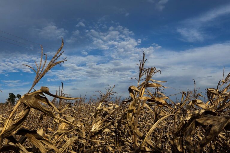 chegada-de-la-nina-pode-causar-serios-impactos-na-producao-agricola-nacional