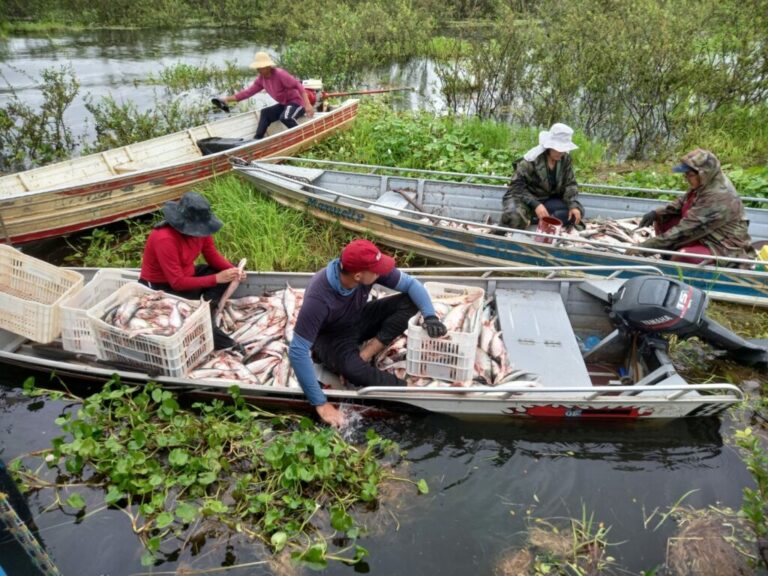 a-pesca-no-amazonas-ja-tem-54-nomes-como-pre-candidatos-em-2024-veja-nomes-e-municipios.