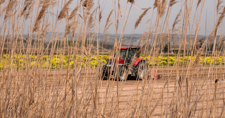 agro-se-atualiza-com-emprego-de-recursos-de-iot,-conectividade-e-gestao-de-dados