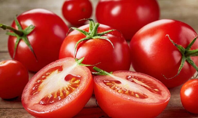 mercado-de-tomate-deve-movimentar-us$-207,17-bilhoes-em-2024