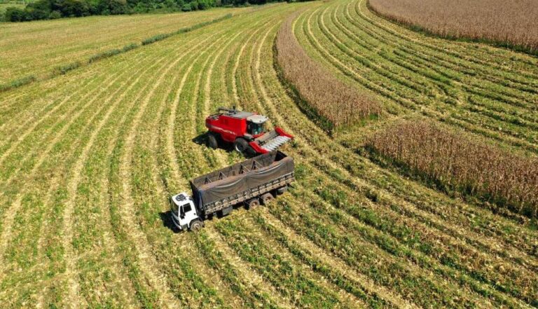 governo-de-sp-anuncia-pacote-de-investimentos-de-r$-1,4-bi-para-o-agronegocio