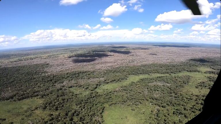 justica-nega-prisao-de-pecuarista-investigado-por-desmate-quimico-no-pantanal