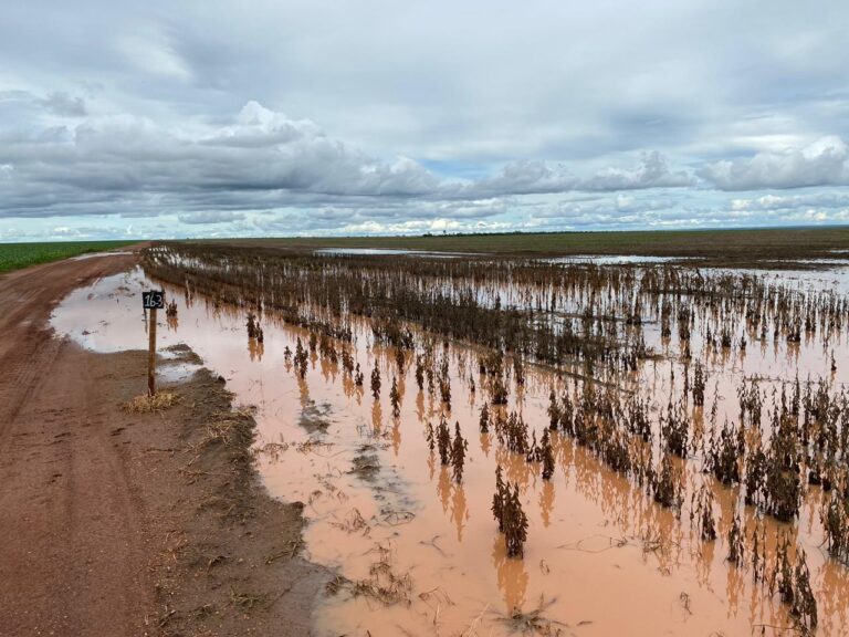 soja-embaixo-d’agua-pode-reduzir-producao-do-rs-em-ate-5-milhoes-de-toneladas