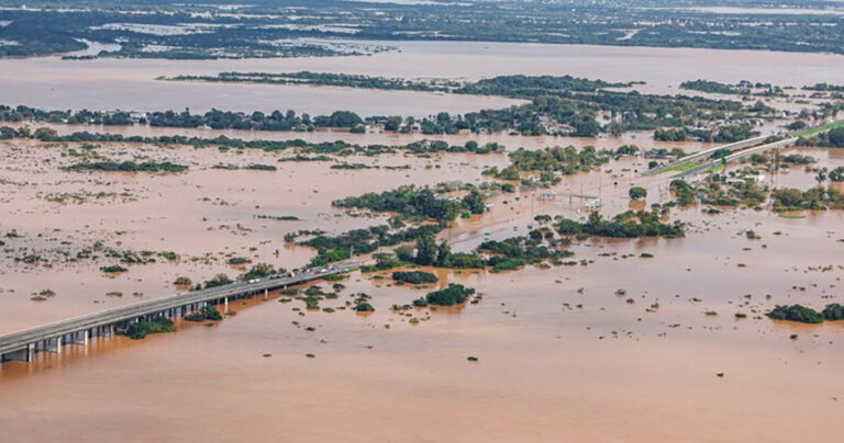 estudo-revela-que-a-agricultura-do-rio-grande-do-sul-ja-soma-prejuizo-acima-de-r$-423-milhoes