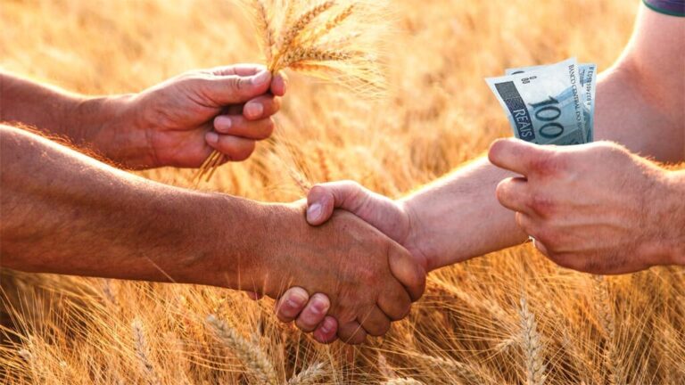 estrategias-para-vender-bem-a-producao-agricola