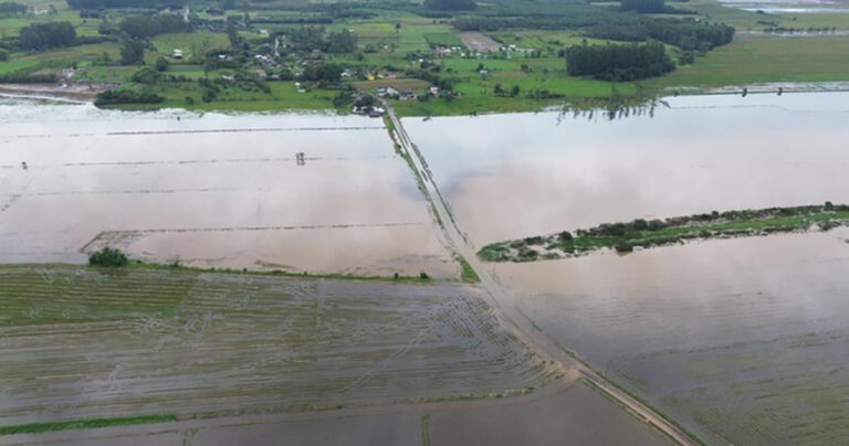 federacoes-e-sindicatos-de-arroz-do-rio-grande-do-sul-publicam-nota-sobre-situacao-de-abastecimento-devido-as-enchentes