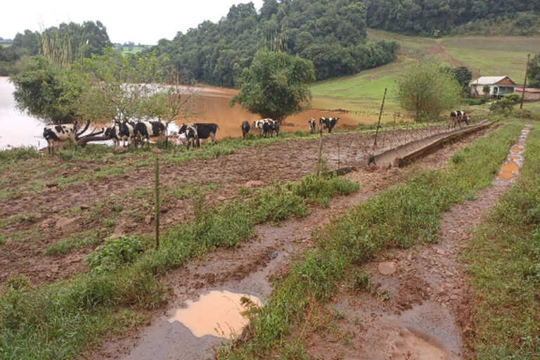 enchentes:-emater/rs-alerta-para-riscos-da-leptospirose-a-atividade-leiteira