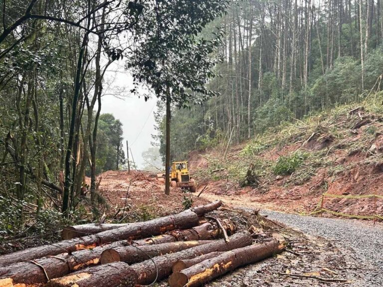 chuvas-provocam-mais-deslizamentos-na-area-rural-e-familias-ficam-isoladas