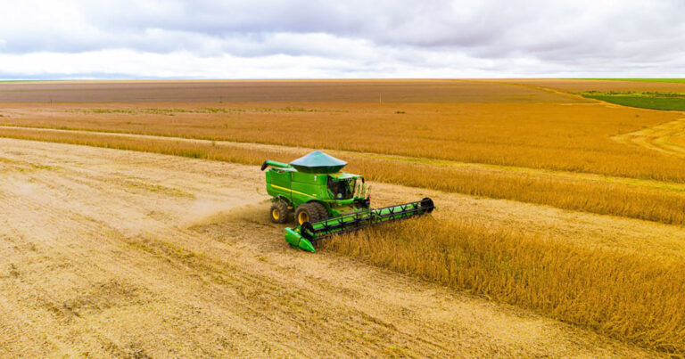 conab-estima-producao-em-295,45-milhoes-de-toneladas-apos-ajuste-na-area-de-soja-e-milho