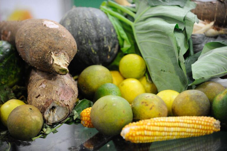 brasil-vai-desenvolver-cultivo-de-alimentos-no-espaco