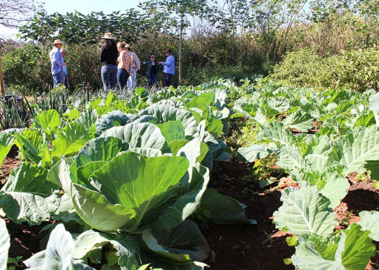 pesquisa-desenvolve-indicadores-ambientais-para-producao-agroecologica