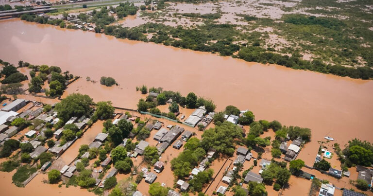 rio-grande-do-sul:-a-reconstrucao-passa-pela-recuperacao-de-1,16-milhao-de-hectares-de-vegetacao-nativa