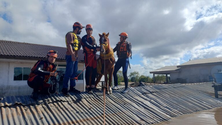 cavalo-caramelo:-bombeiros-de-sao-paulo-sao-homenageados-pelo-resgate-do-animal