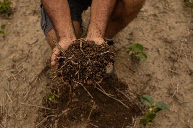 tecnologias-biologicas-para-a-saude-do-solo-sao-expostas-na-agrobrasilia