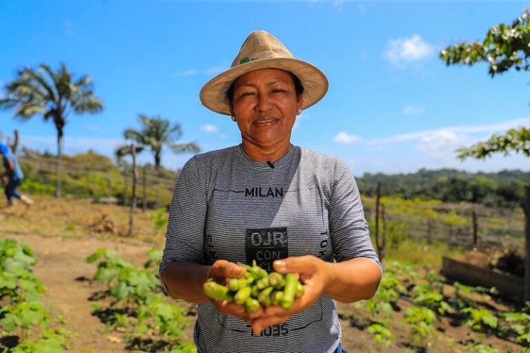 programa-garantia-safra-paga-pequenos-produtores-atingidos-pela-estiagem-no-amazonas