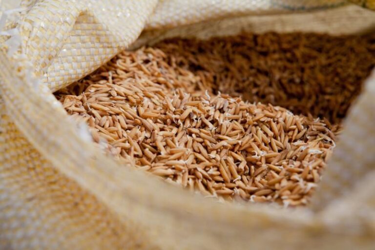 arroz:-produtores-e-industrias-do-rs-pedem-ao-ministerio-da-agricultura-revisao-das-medidas