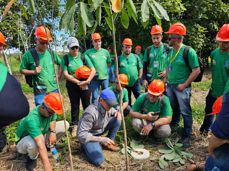 conheca-os-14-municipios-que-participaram-dessa-acao-com-embrapa-e-idam/sepror