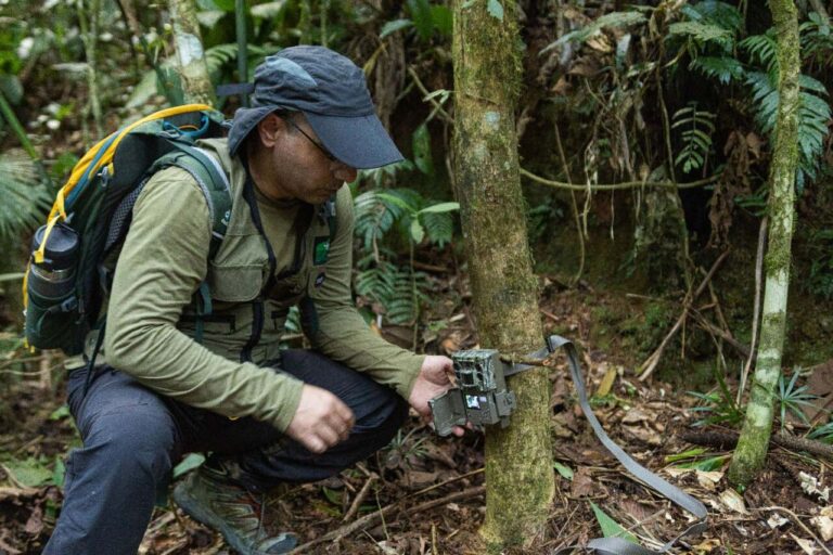 parque-das-lauraceas-ganha-cameras-para-monitoramento-de-grandes-mamiferos