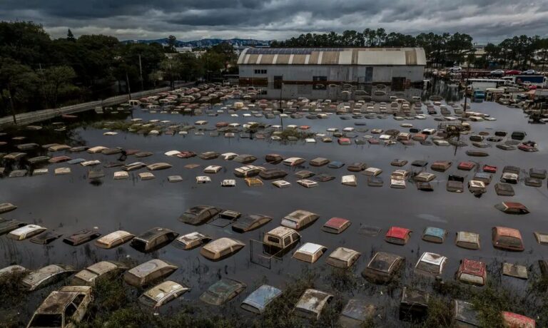 desastre-climatico:-industria-padece-e-setor-de-insumos-agropecuarios-e-o-mais-afetado