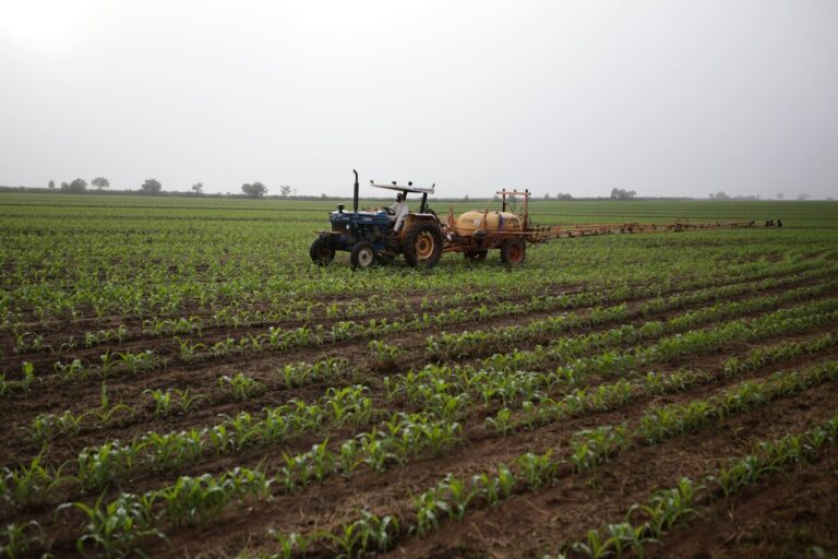 proibicao-do-glifosato-pode-provocar-prejuizo-bilionario-e-ameaca-sustentabilidade-do-agro