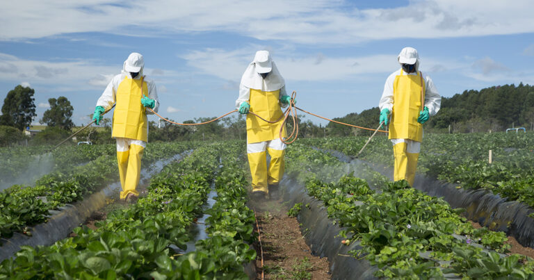 produtores-de-hortalicas-e-frutas-precisam-se-atentar-ao-uso-correto-de-defensivos