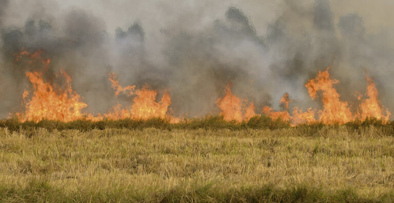 inverno-seco-acende-alerta-de-incendios-no-meio-rural