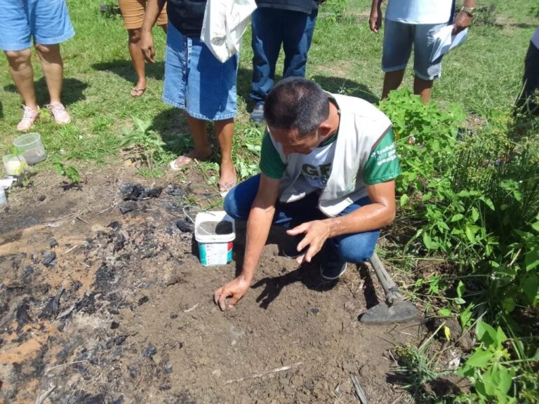 projeto-de-diversificacao-de-culturas-vai-beneficiar-dezenas-de-produtores-rurais-no-amazonas