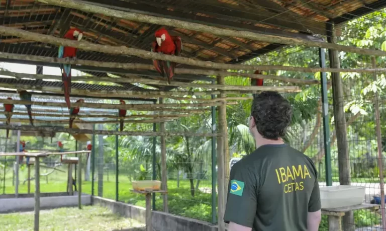 servidores-do-meio-ambiente-decidem-entrar-em-greve-no-dia-24