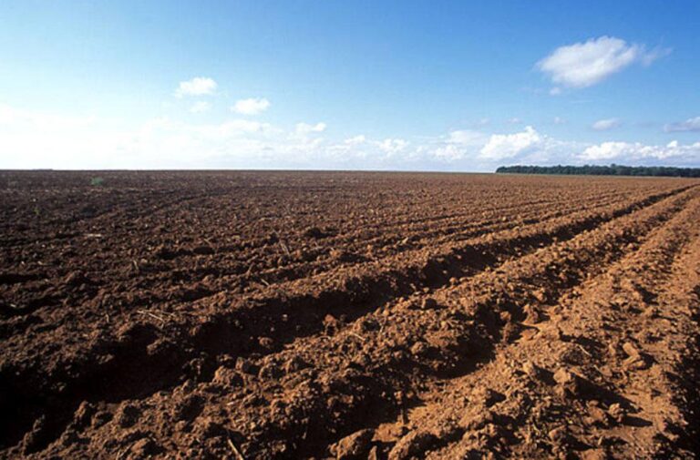 vazio-sanitario-da-soja-comeca-em-27-de-junho-em-goias