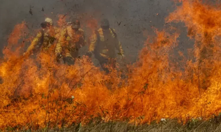 pantanal-acumula-em-12-meses-mais-de-9-mil-focos-de-incendio