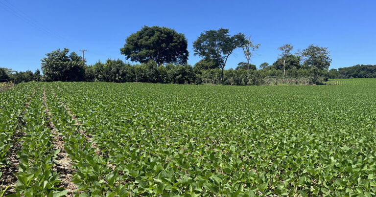 sustainable-week:-conteudo-e-oportunidades-de-novos-negocios-com-foco-em-esg-na-agropecuaria