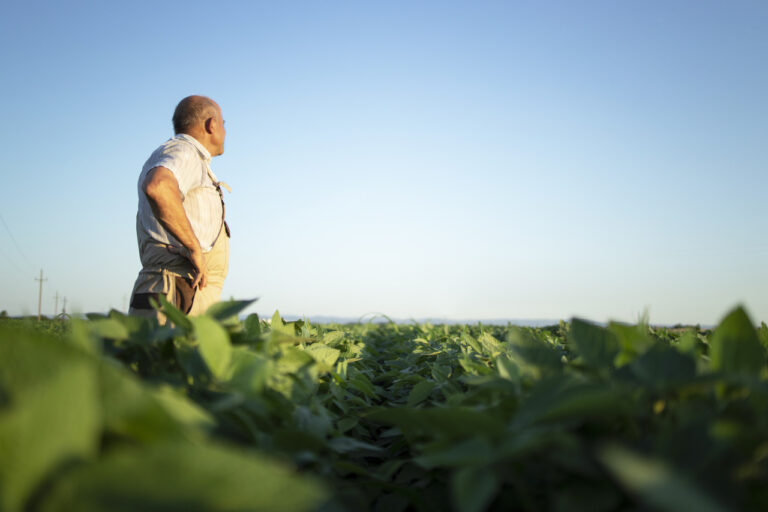 adiamento-do-plano-safra-cria-clima-de-inseguranca-no-campo