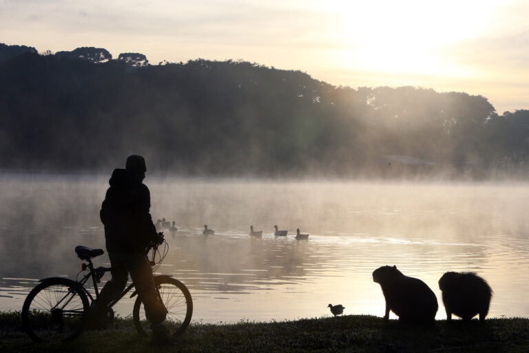 la-vem-ele:-frio-de-0oc-esta-chegando-ao-parana