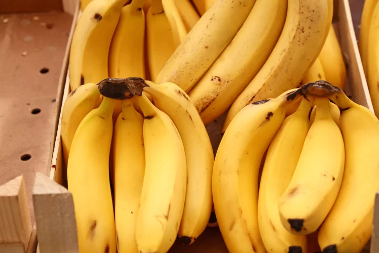 municipio-do-sul-de-minas-diversifica-a-producao-com-banana