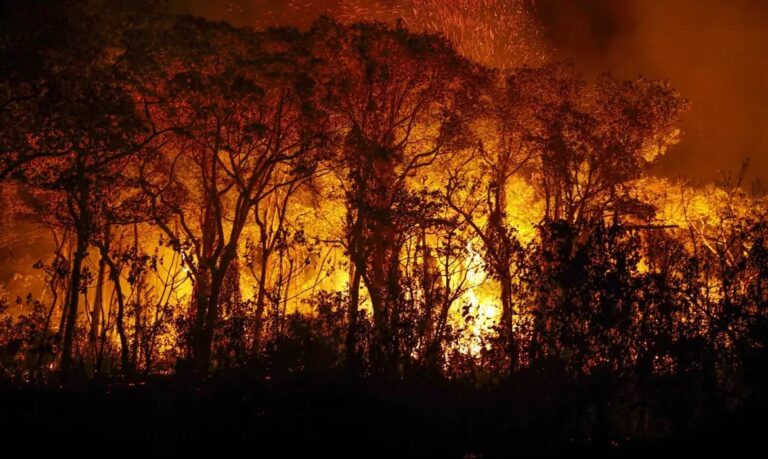 fab-faz-tres-voos-hoje-sobre-o-pantanal-para-combate-a-incendios