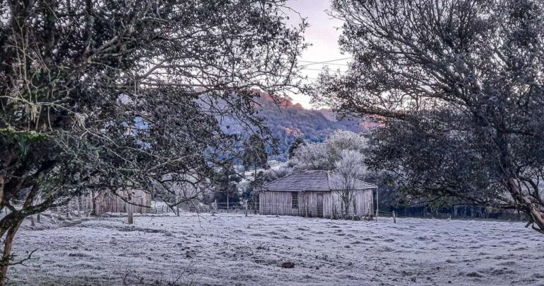 frio:-parana-sai-do-congelador-para-a-geladeira;-sul-segue-em-alerta-laranja